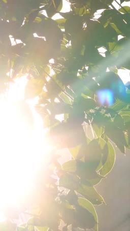 [doblado] Mi Exesposa Florece tras el Divorcio episode 4