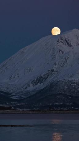 La boss e il suo San Valentino in provincia episode 24