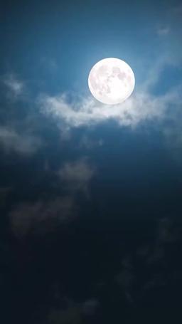 Cinta Tanpa Perasaan episode 12