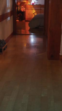 러브 매직 홍시 바 episode 52