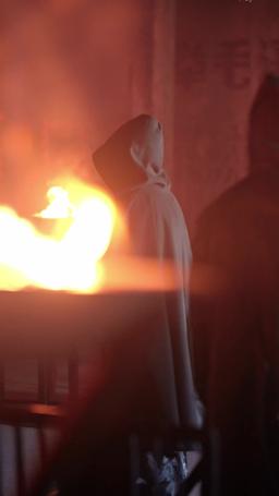 蘇社長、お婿さんは竜神殿の殿主でした episode 33