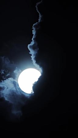 알파의 숙명,  오메가를 사로잡는다 episode 37