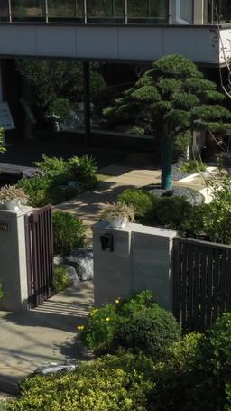 From His Tutor to His Darling episode 23