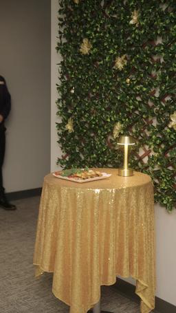 Natale con il miliardario sconosciuto episode 52