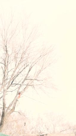 Goodbye, My Yesterday episode 5