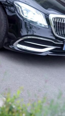 Fated with the Alpha CEO episode 3