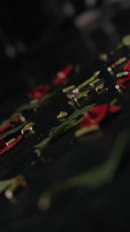 Atracción Fatal: Romance Mafioso episode 17