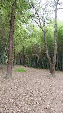 التمرد المحتوم: عودة الابن المنبوذ episode 47