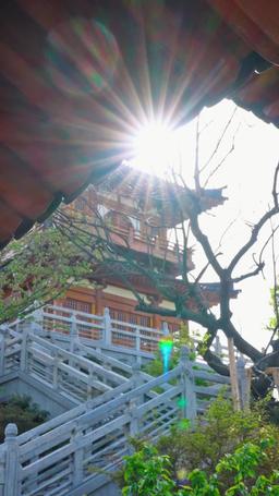 Przeznaczona miłość episode 10