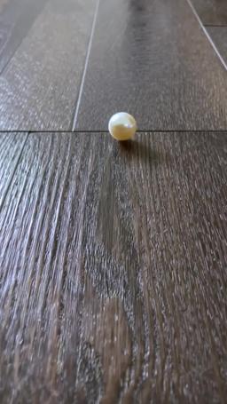 偽りの婚約～失われた娘を探して～ episode 36