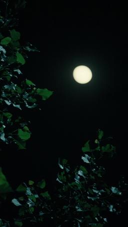 Non sono la tipica casalinga anni '70 episode 18