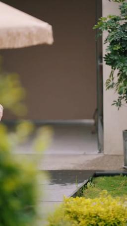 墨雨雲間之真假千金 episode 54