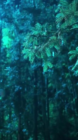 状元の悔い episode 1