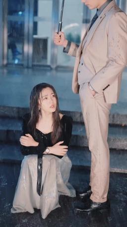 消えた妻の秘密、CEOと三つ子の再会 episode 58