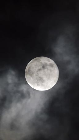 상속녀의 복귀, 보스의 사랑 episode 44