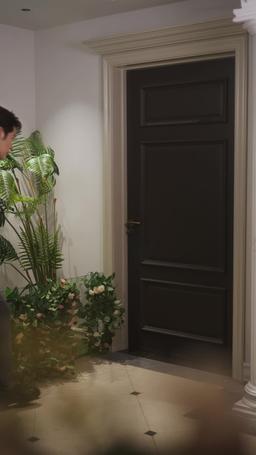 Die Suche nach der verlorenen Liebe episode 31