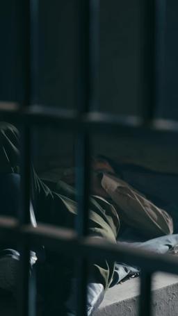 Revenge of the Commander's Heiress episode 49