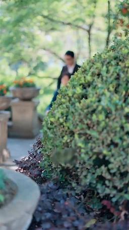 [doblado] La Amante Contrada del Multimillonario episode 97