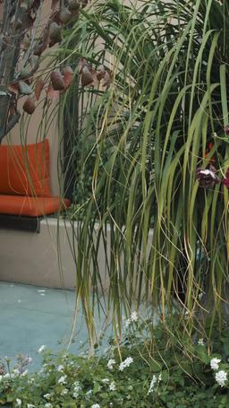 너무 늦은 후회 episode 41