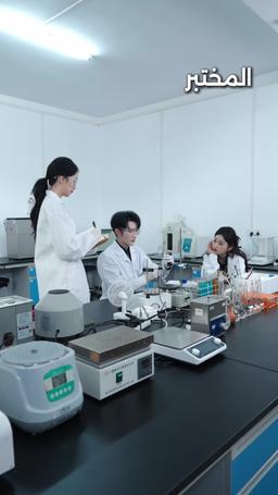 زوجتي زعيم العصابة episode 15