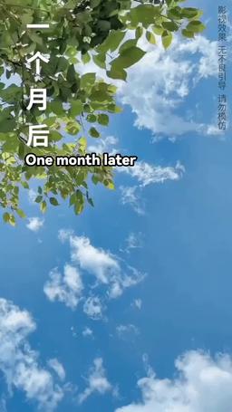 Wrongly Entangled episode 89