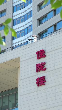 Her Baby’s Claimed by the Kingpin episode 85