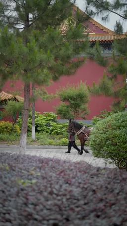 Royal Twist: The Powerhouse Prince episode 13