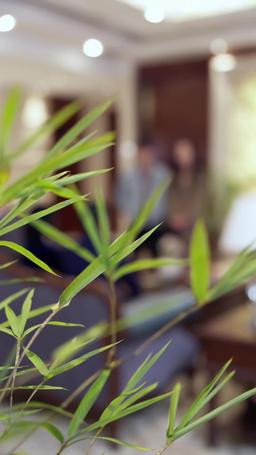 Farsa Falsa, Amor Real episode 31