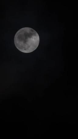 My Script to Sweetness: Healing the Villain's Heart episode 78