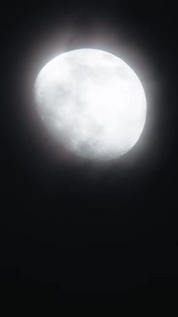 알파를 내 거로 만든 방법 episode 62