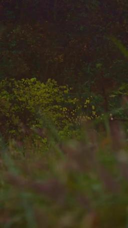 길운천조 나도 처음부터 악녀는 아니었다 episode 49