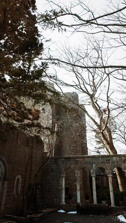 Alas de Fuego: El Matadragones Es Mi Ex-Amante episode 38