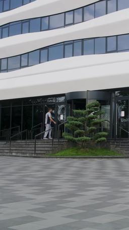 Die verlorene Prima Ballerina episode 28