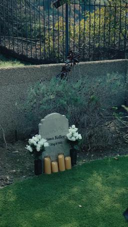 Capo, sua moglie è proprio una detective! episode 69