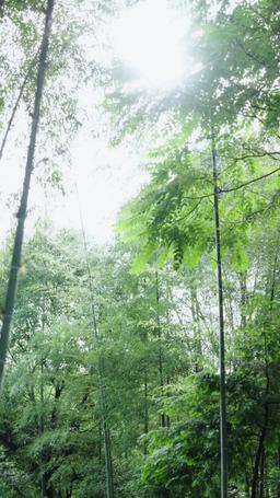 Tell Me Your Secret, My Bride episode 17