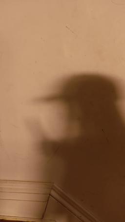 My Three Ungrateful Brothers Come Crawling Back episode 67