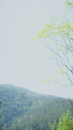 Love, Lies, and a Wedding Surprise episode 58