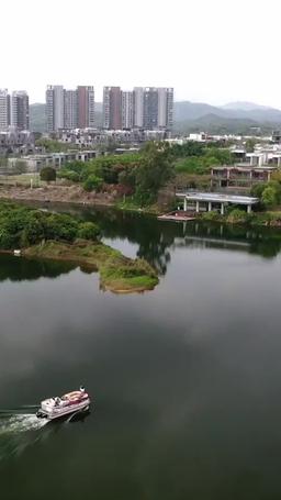 復讐の令嬢は二度と愛さない ～今さら兄が泣きついても遅すぎる～ episode 73