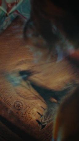 Deseada por dos: el vampiro y el cazador episode 28