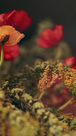 Il mio capo è il mio donatore di sperma segreto episode 55