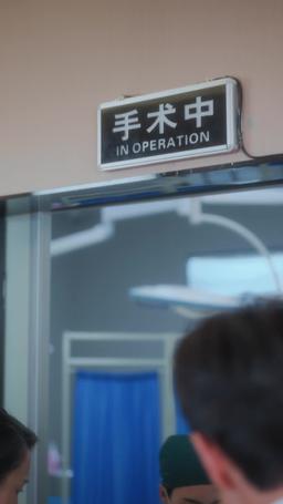 The Gynecologist’s Revenge episode 21