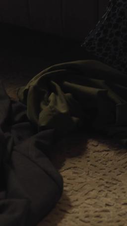 Bébé secret avec mon ex star du hockey episode 52