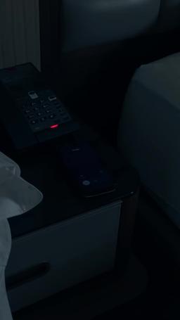 Invaghita dell'Amministratore Delegato episode 17