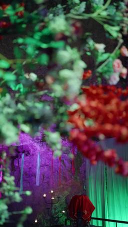 落花有淚猶帶恨 episode 34