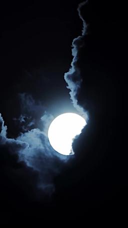 君が狂わせる episode 37