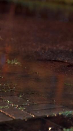 아빠는 늑대인간 episode 1