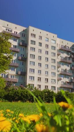 Mi Despiadado Rey de la Mafia episode 48