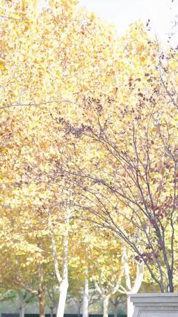 醜妻逆襲，顏值驚豔全球 episode 62