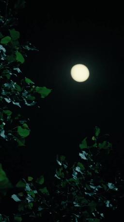 (พากย์) นางร้ายพาพลิกผันโชคชะตา episode 18