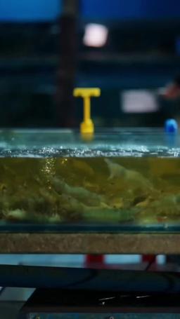 [dublado] Divorciada e Desejada! Meu Trio de Pretendentes de Elite episode 1